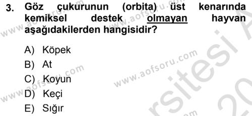 Temel Veteriner Anatomi Dersi 2013 - 2014 Yılı Tek Ders Sınavı 3. Soru