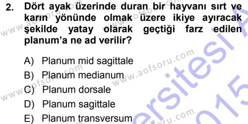 Temel Veteriner Anatomi Dersi 2014 - 2015 Yılı (Vize) Ara Sınavı 2. Soru