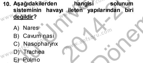 Temel Veteriner Anatomi Dersi 2014 - 2015 Yılı (Final) Dönem Sonu Sınavı 10. Soru