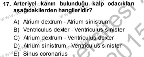Temel Veteriner Anatomi Dersi 2014 - 2015 Yılı (Final) Dönem Sonu Sınavı 17. Soru