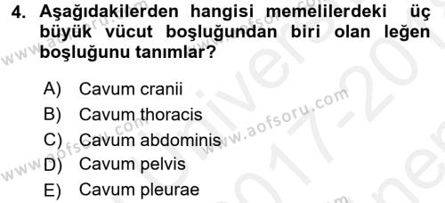 Temel Veteriner Anatomi Dersi 2017 - 2018 Yılı (Final) Dönem Sonu Sınavı 4. Soru