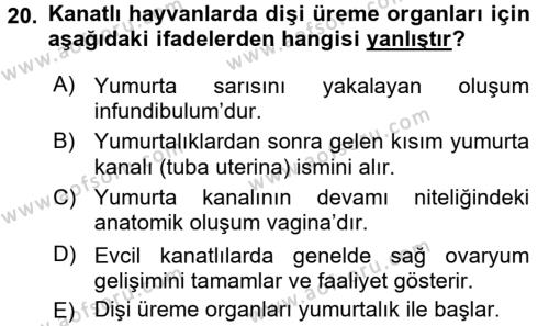 Temel Veteriner Anatomi Dersi 2018 - 2019 Yılı (Final) Dönem Sonu Sınavı 20. Soru