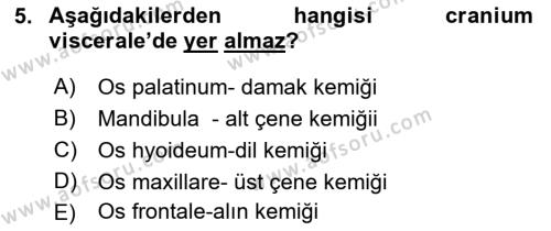 Temel Veteriner Anatomi Dersi 2019 - 2020 Yılı (Final) Dönem Sonu Sınavı 5. Soru