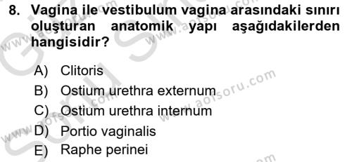 Temel Veteriner Anatomi Dersi 2019 - 2020 Yılı (Final) Dönem Sonu Sınavı 8. Soru