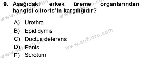 Temel Veteriner Anatomi Dersi 2019 - 2020 Yılı (Final) Dönem Sonu Sınavı 9. Soru