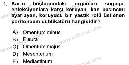 Temel Veteriner Anatomi Dersi 2020 - 2021 Yılı Yaz Okulu Sınavı 1. Soru