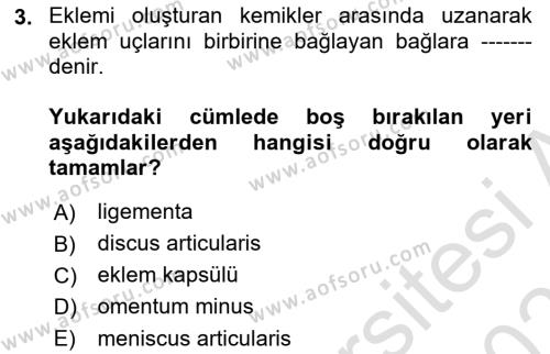 Temel Veteriner Anatomi Dersi 2020 - 2021 Yılı Yaz Okulu Sınavı 3. Soru