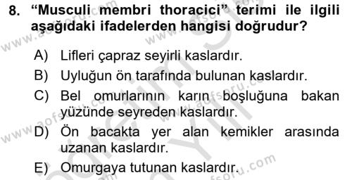 Temel Veteriner Anatomi Dersi 2020 - 2021 Yılı Yaz Okulu Sınavı 8. Soru