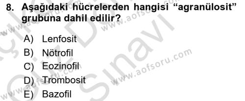 Temel Veteriner Anatomi Dersi 2021 - 2022 Yılı (Final) Dönem Sonu Sınavı 8. Soru