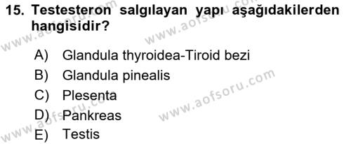 Temel Veteriner Anatomi Dersi 2021 - 2022 Yılı Yaz Okulu Sınavı 15. Soru