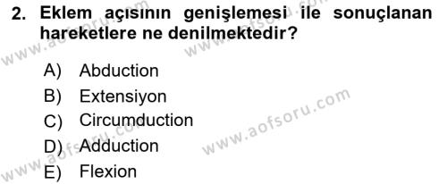 Temel Veteriner Anatomi Dersi 2021 - 2022 Yılı Yaz Okulu Sınavı 2. Soru