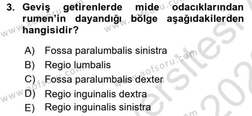 Temel Veteriner Anatomi Dersi 2021 - 2022 Yılı Yaz Okulu Sınavı 3. Soru