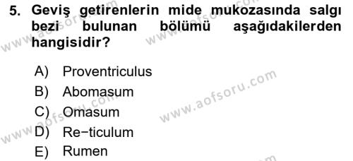 Temel Veteriner Anatomi Dersi 2021 - 2022 Yılı Yaz Okulu Sınavı 5. Soru