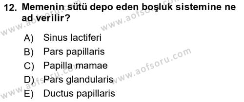 Temel Veteriner Anatomi Dersi 2022 - 2023 Yılı (Final) Dönem Sonu Sınavı 12. Soru