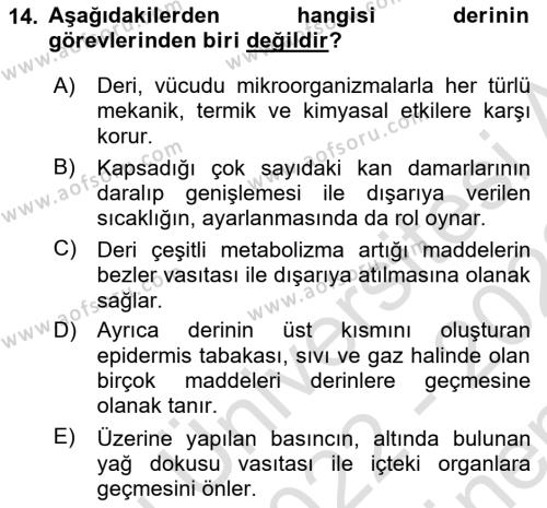 Temel Veteriner Anatomi Dersi 2022 - 2023 Yılı (Final) Dönem Sonu Sınavı 14. Soru