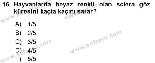 Temel Veteriner Anatomi Dersi 2022 - 2023 Yılı (Final) Dönem Sonu Sınavı 16. Soru