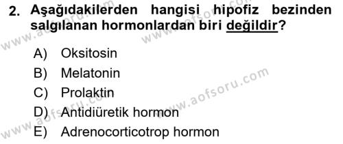 Temel Veteriner Anatomi Dersi 2022 - 2023 Yılı (Final) Dönem Sonu Sınavı 2. Soru