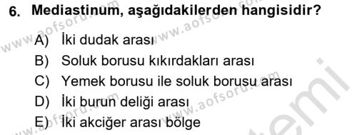 Temel Veteriner Anatomi Dersi 2022 - 2023 Yılı (Final) Dönem Sonu Sınavı 6. Soru