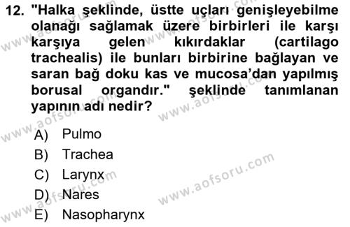 Temel Veteriner Anatomi Dersi 2022 - 2023 Yılı Yaz Okulu Sınavı 12. Soru