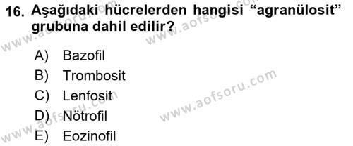 Temel Veteriner Anatomi Dersi 2022 - 2023 Yılı Yaz Okulu Sınavı 16. Soru