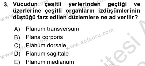 Temel Veteriner Anatomi Dersi 2022 - 2023 Yılı Yaz Okulu Sınavı 3. Soru