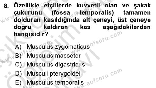 Temel Veteriner Anatomi Dersi 2022 - 2023 Yılı Yaz Okulu Sınavı 8. Soru