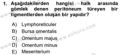 Temel Veteriner Anatomi Dersi 2023 - 2024 Yılı (Vize) Ara Sınavı 1. Soru