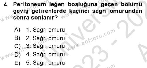 Temel Veteriner Anatomi Dersi 2023 - 2024 Yılı (Vize) Ara Sınavı 4. Soru