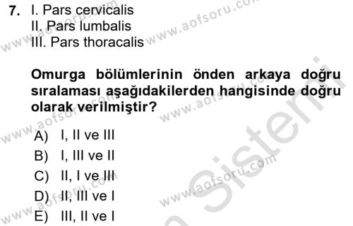 Temel Veteriner Anatomi Dersi 2023 - 2024 Yılı (Vize) Ara Sınavı 7. Soru