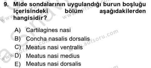 Temel Veteriner Anatomi Dersi 2023 - 2024 Yılı (Vize) Ara Sınavı 9. Soru