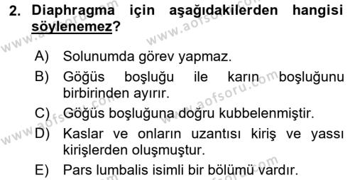 Temel Veteriner Anatomi Dersi 2023 - 2024 Yılı (Final) Dönem Sonu Sınavı 2. Soru