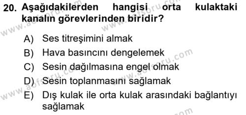 Temel Veteriner Anatomi Dersi 2023 - 2024 Yılı (Final) Dönem Sonu Sınavı 20. Soru