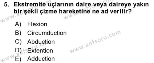 Temel Veteriner Anatomi Dersi 2023 - 2024 Yılı (Final) Dönem Sonu Sınavı 5. Soru