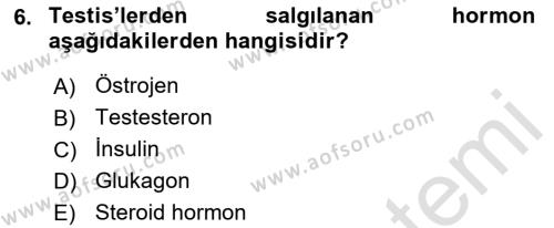 Temel Veteriner Anatomi Dersi 2023 - 2024 Yılı (Final) Dönem Sonu Sınavı 6. Soru