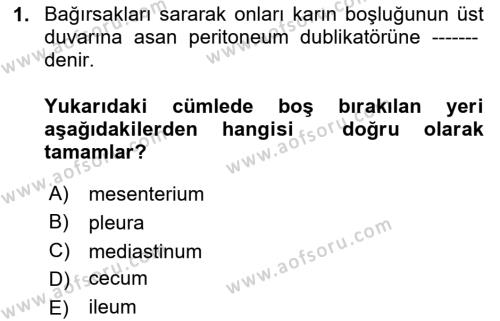 Temel Veteriner Anatomi Dersi 2023 - 2024 Yılı Yaz Okulu Sınavı 1. Soru