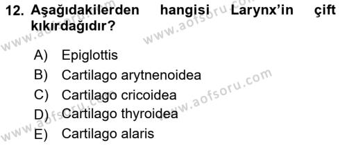 Temel Veteriner Anatomi Dersi 2023 - 2024 Yılı Yaz Okulu Sınavı 12. Soru