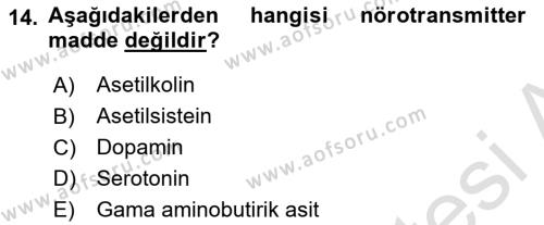 Temel Veteriner Anatomi Dersi 2023 - 2024 Yılı Yaz Okulu Sınavı 14. Soru