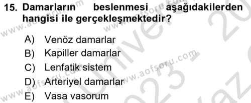 Temel Veteriner Anatomi Dersi 2023 - 2024 Yılı Yaz Okulu Sınavı 15. Soru