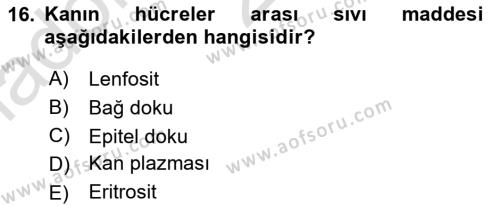 Temel Veteriner Anatomi Dersi 2023 - 2024 Yılı Yaz Okulu Sınavı 16. Soru