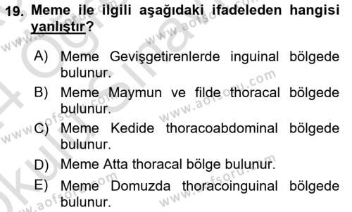 Temel Veteriner Anatomi Dersi 2023 - 2024 Yılı Yaz Okulu Sınavı 19. Soru