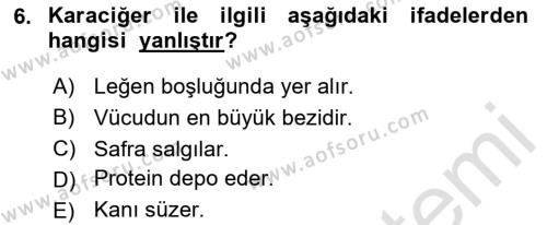 Temel Veteriner Anatomi Dersi 2023 - 2024 Yılı Yaz Okulu Sınavı 6. Soru