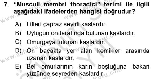 Temel Veteriner Anatomi Dersi 2023 - 2024 Yılı Yaz Okulu Sınavı 7. Soru