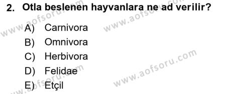 Temel Veteriner Anatomi Dersi 2024 - 2025 Yılı (Vize) Ara Sınavı 2. Soru