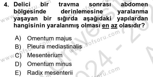 Temel Veteriner Anatomi Dersi 2024 - 2025 Yılı (Vize) Ara Sınavı 4. Soru