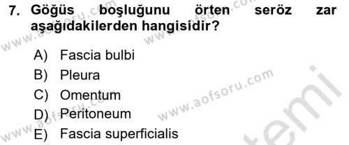 Temel Veteriner Anatomi Dersi 2024 - 2025 Yılı (Vize) Ara Sınavı 7. Soru