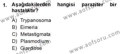 Temel Veteriner Parazitoloji Dersi 2013 - 2014 Yılı (Final) Dönem Sonu Sınavı 1. Soru