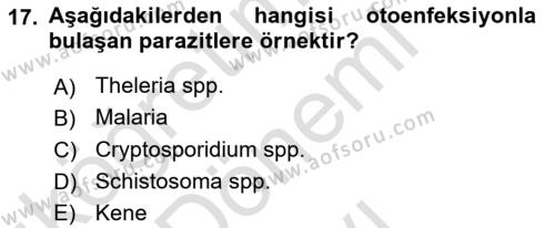 Temel Veteriner Parazitoloji Dersi 2016 - 2017 Yılı (Final) Dönem Sonu Sınavı 17. Soru