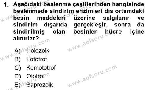 Temel Veteriner Parazitoloji Dersi 2020 - 2021 Yılı Yaz Okulu Sınavı 1. Soru