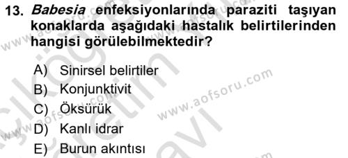 Temel Veteriner Parazitoloji Dersi 2020 - 2021 Yılı Yaz Okulu Sınavı 13. Soru