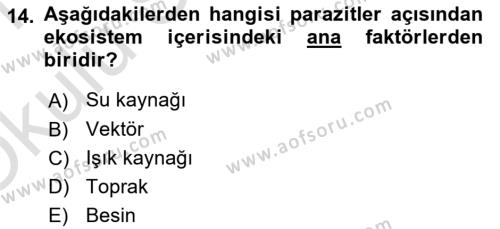 Temel Veteriner Parazitoloji Dersi 2020 - 2021 Yılı Yaz Okulu Sınavı 14. Soru